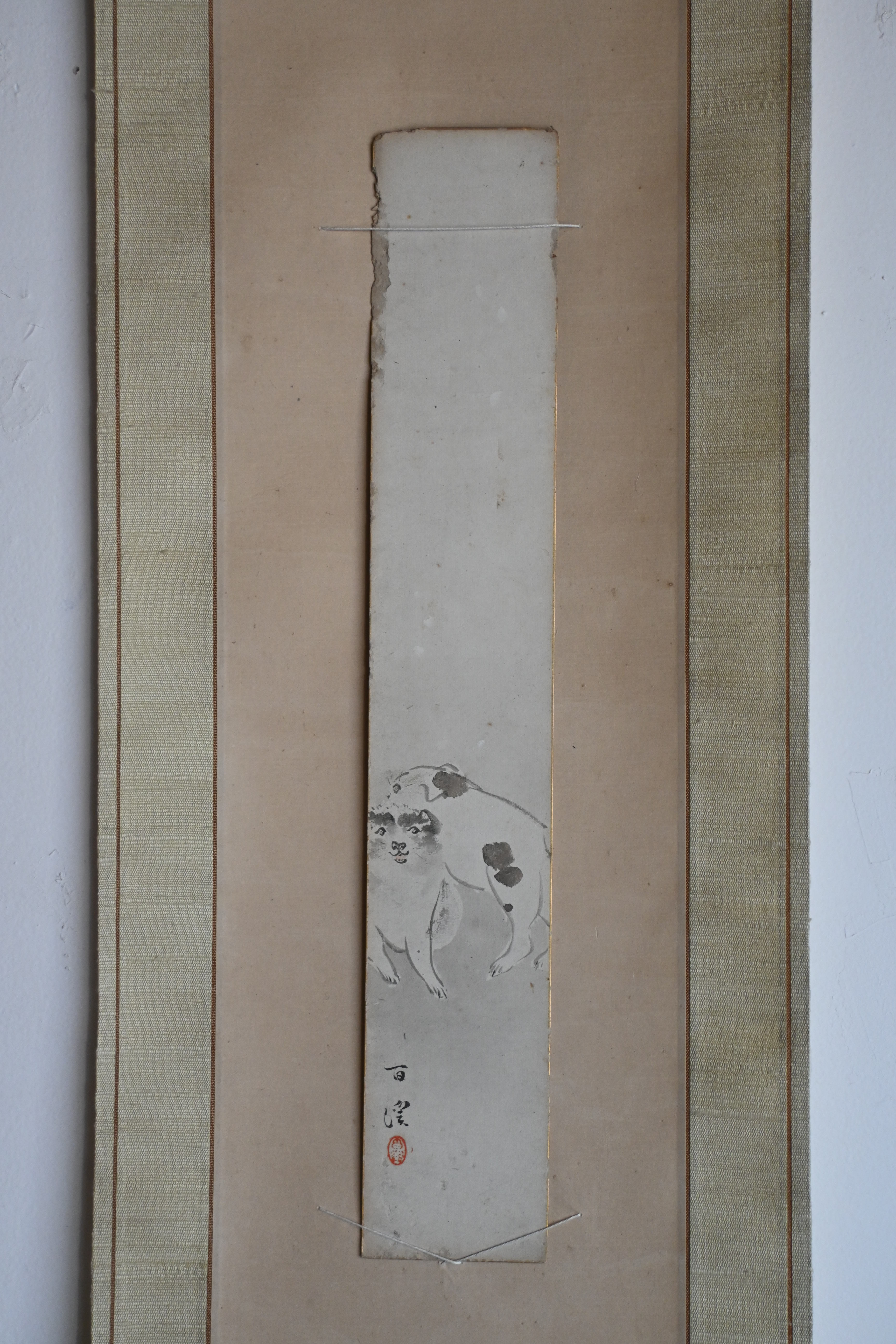 168 今日のわんこ