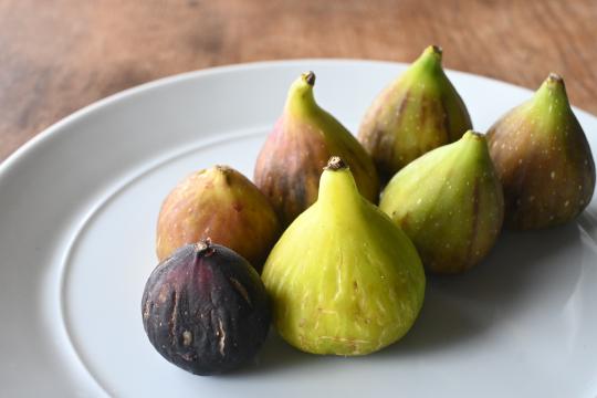 figs00