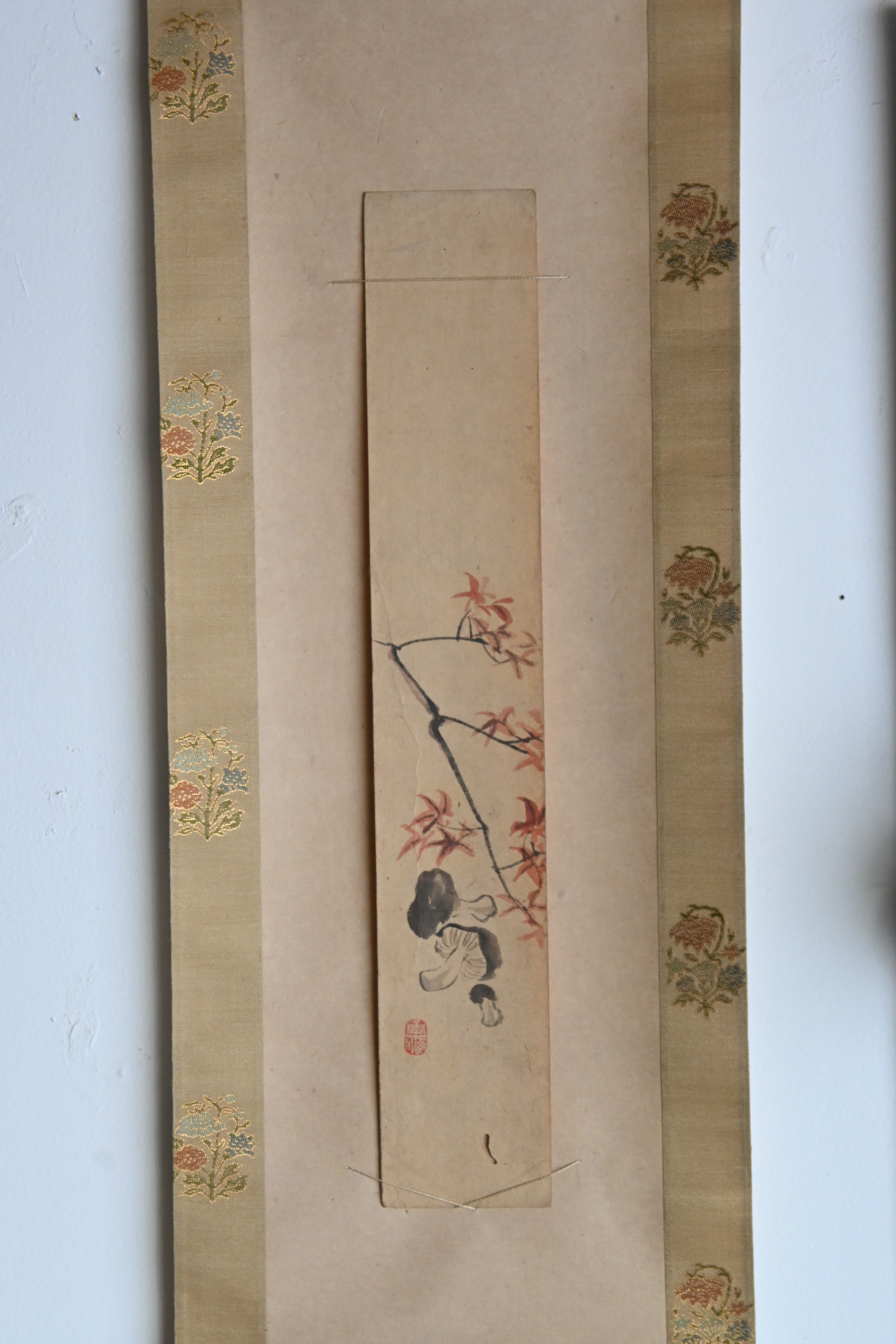 03 紅葉ときのこ