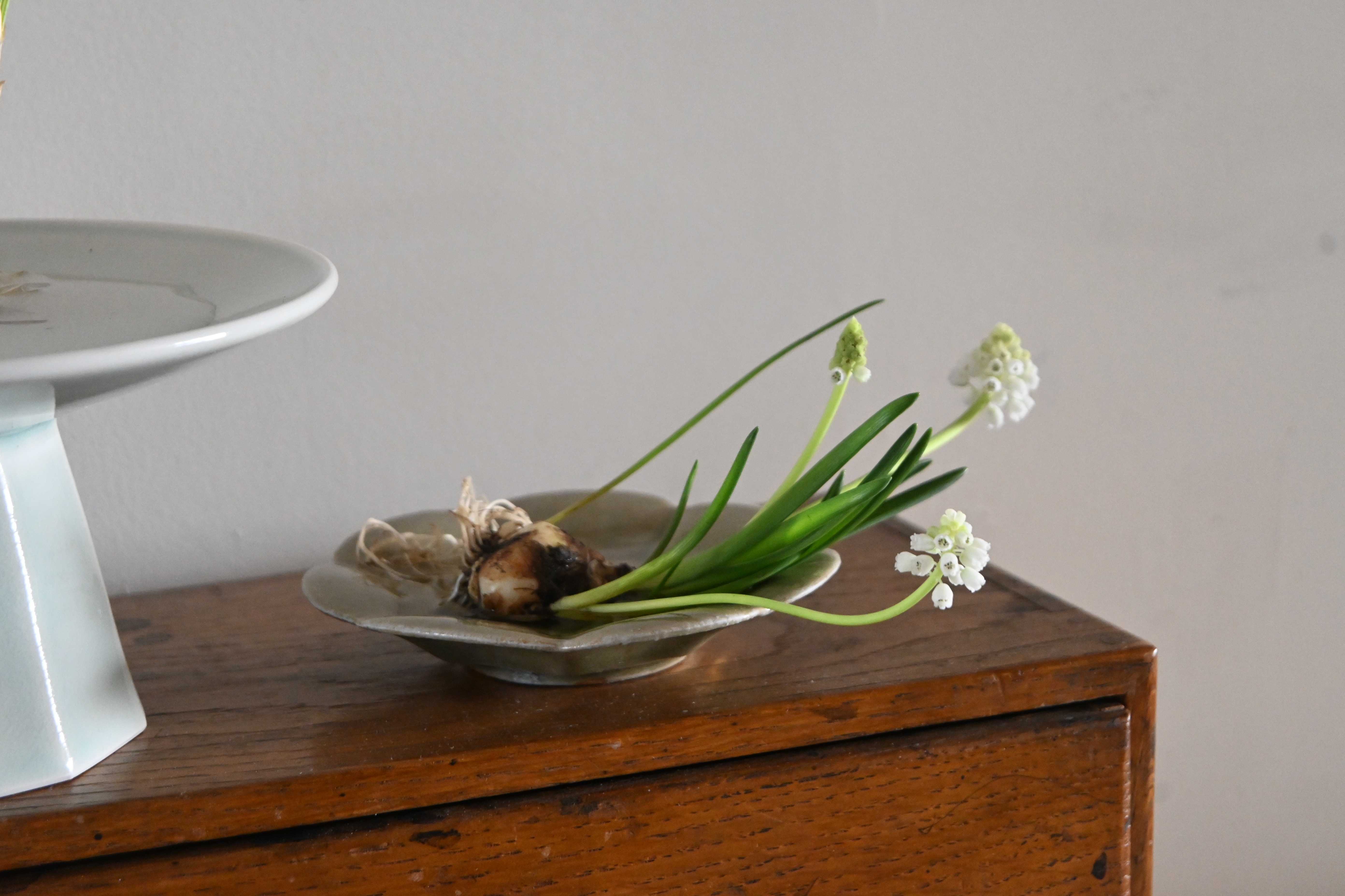 MORIS at home : objects | MORIS