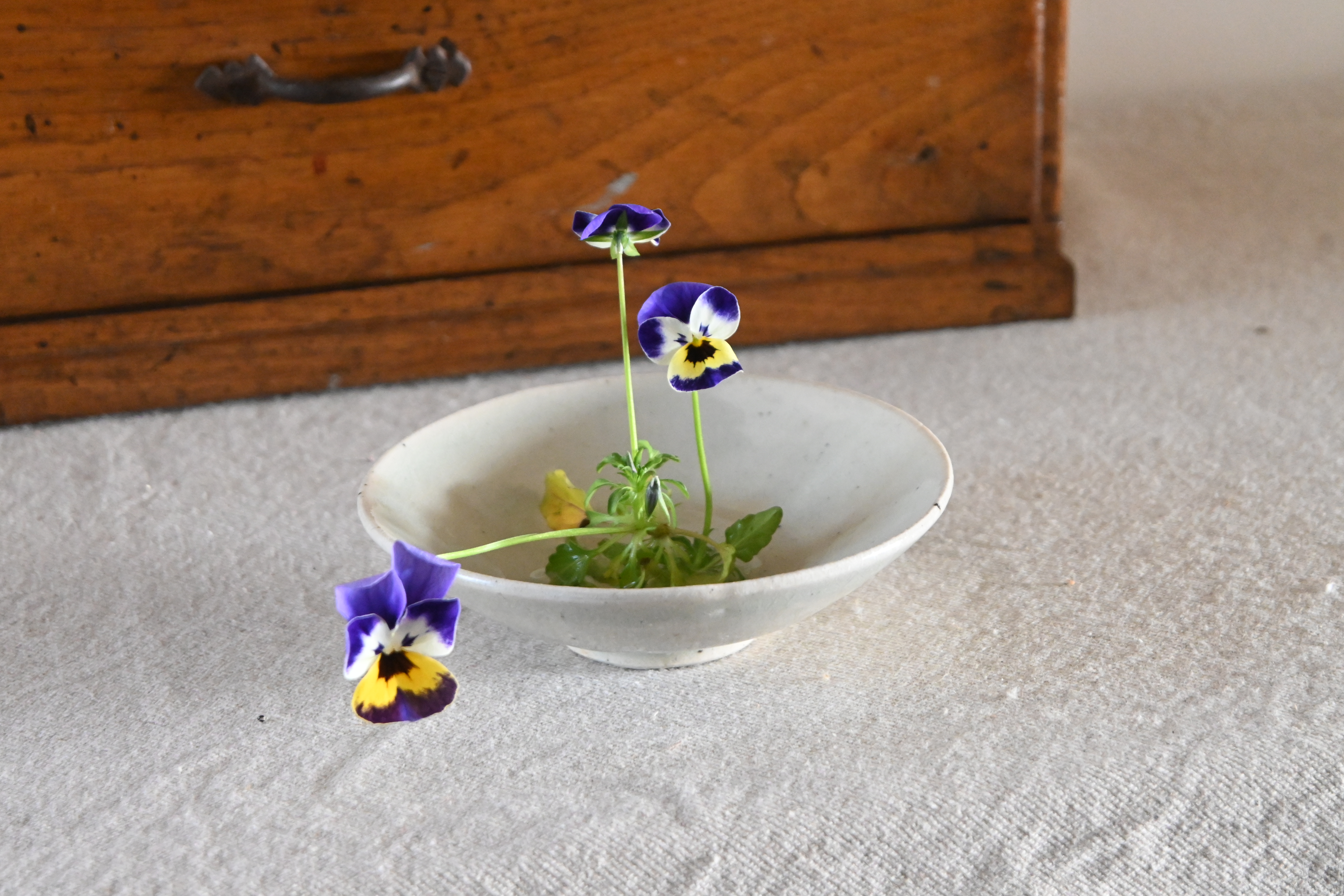 MORIS at home : objects | MORIS